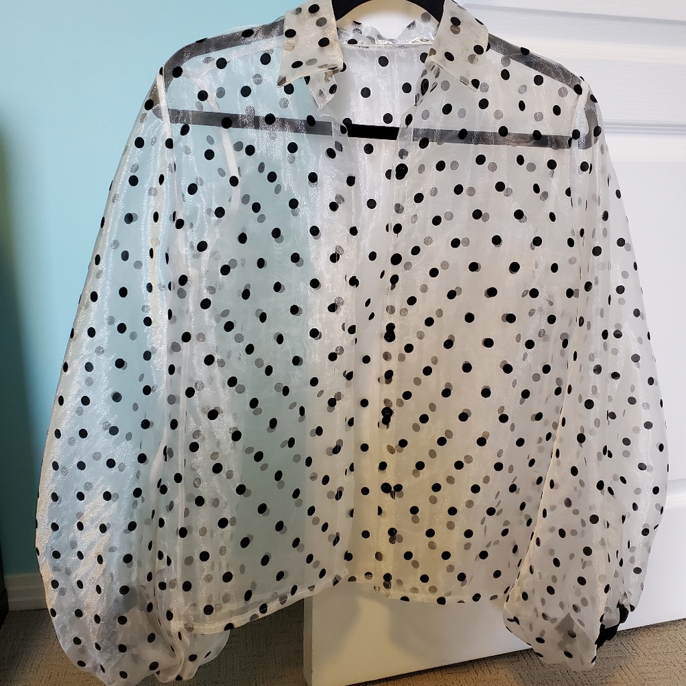 Polka Dot Mesh Blouse